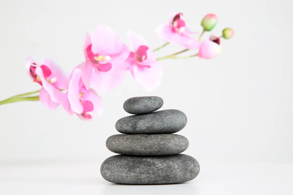 Piedras lisas apiladas junto a una rama de orquídea rosa sobre fondo blanco